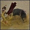 Der Stierkampf ist eine umstrittene Tradition (AFP)